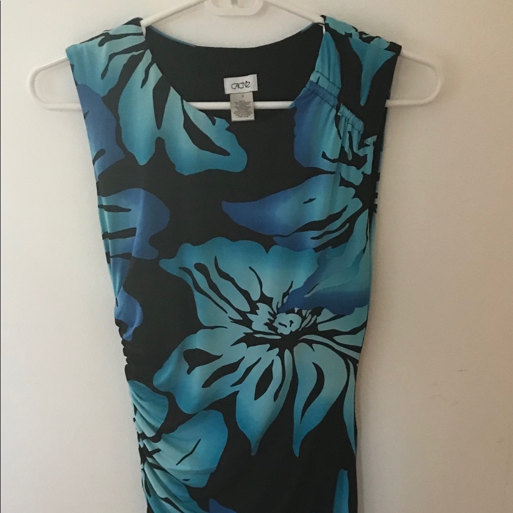Cache Dress